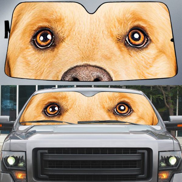 cute golden retrievers eyes beautiful dog eyes car sun shade cover auto windshield
