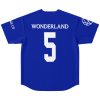 508c3c41e142b753aa897b7f0900da5e baseballJersey flat back.jpg