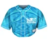 volpcrop 650x650.jpg 2.webp
